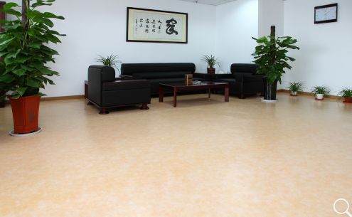 寫字樓PVC塑膠地板為您鋪就高端大氣的辦公環(huán)境【騰方PVC地板】