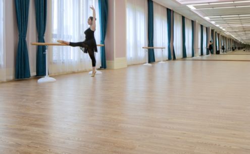 石塑地板與木地板：優(yōu)缺點(diǎn)全面解析