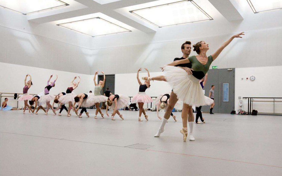 舞蹈pvc地板 舞蹈pvc地板