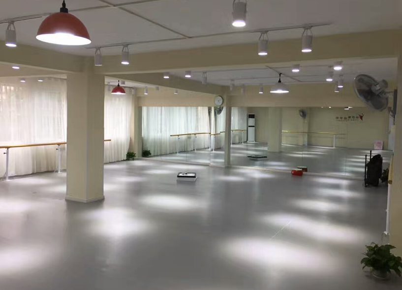 舞蹈房專業(yè)塑膠地板 舞蹈房專業(yè)塑膠地板