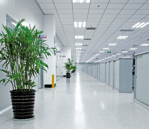 1730853851344067.png image.png